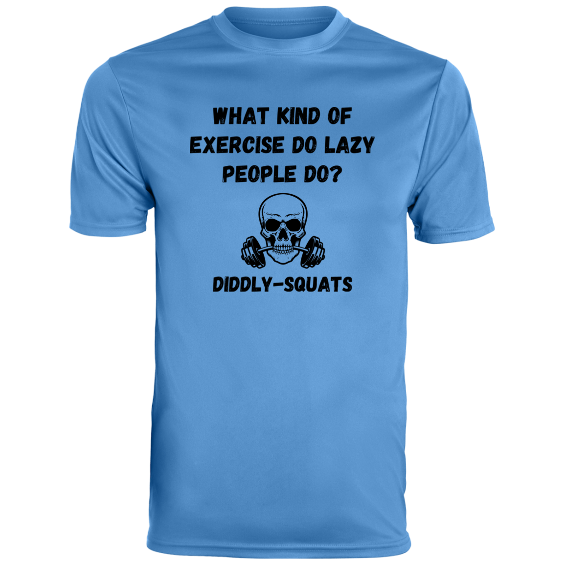 Diddly Squat Dad Joke Tee