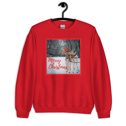 Cute and Cozy Christmas Cows Sweatshirt